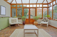 free Ivy Cross conservatory quotes